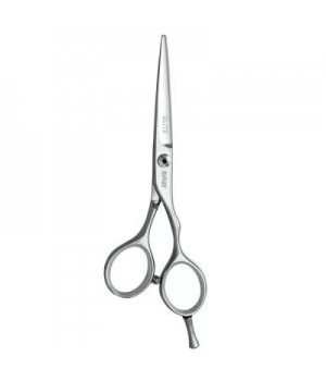 НОЖНИЦЫ SWAY ELITE DAY 110 20550 РАЗМЕР 5